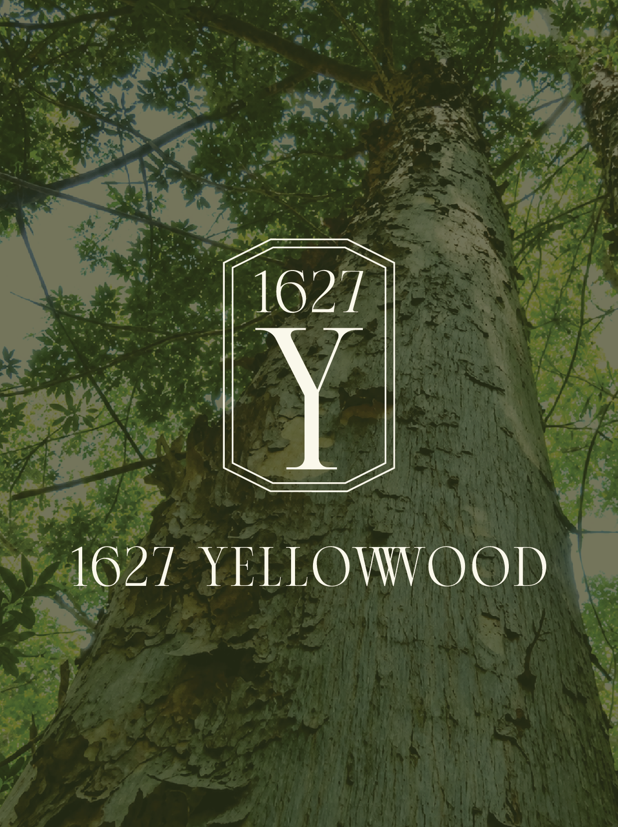 1627 yellowwood | *logo