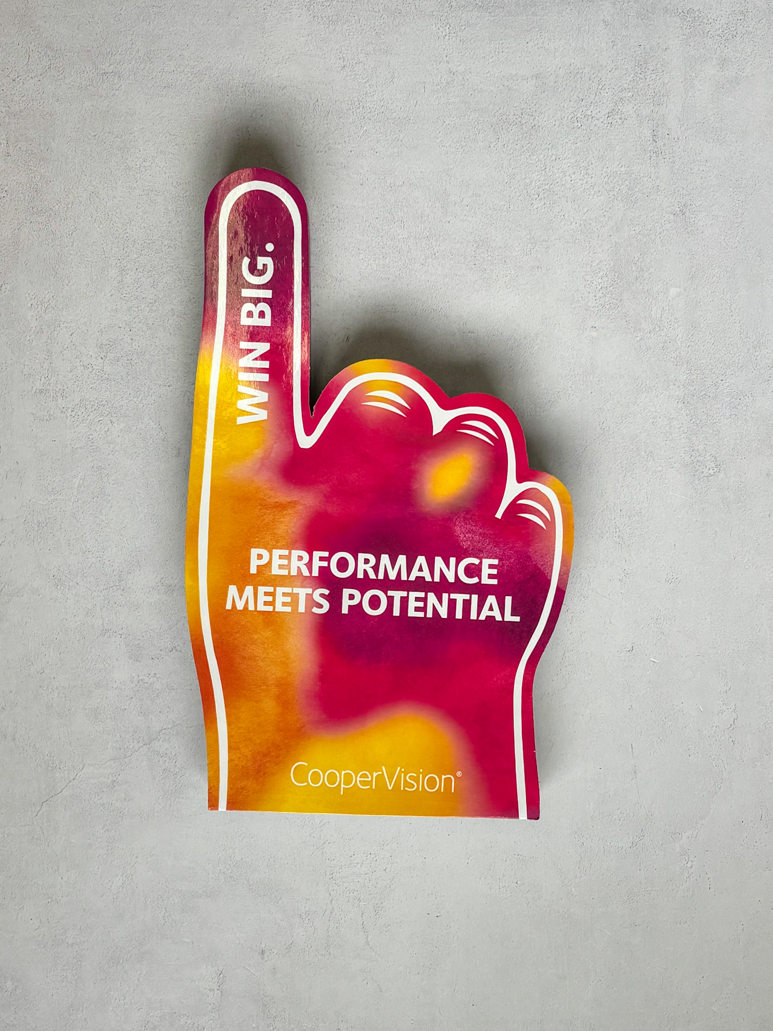Performance Meets Potential img 6075