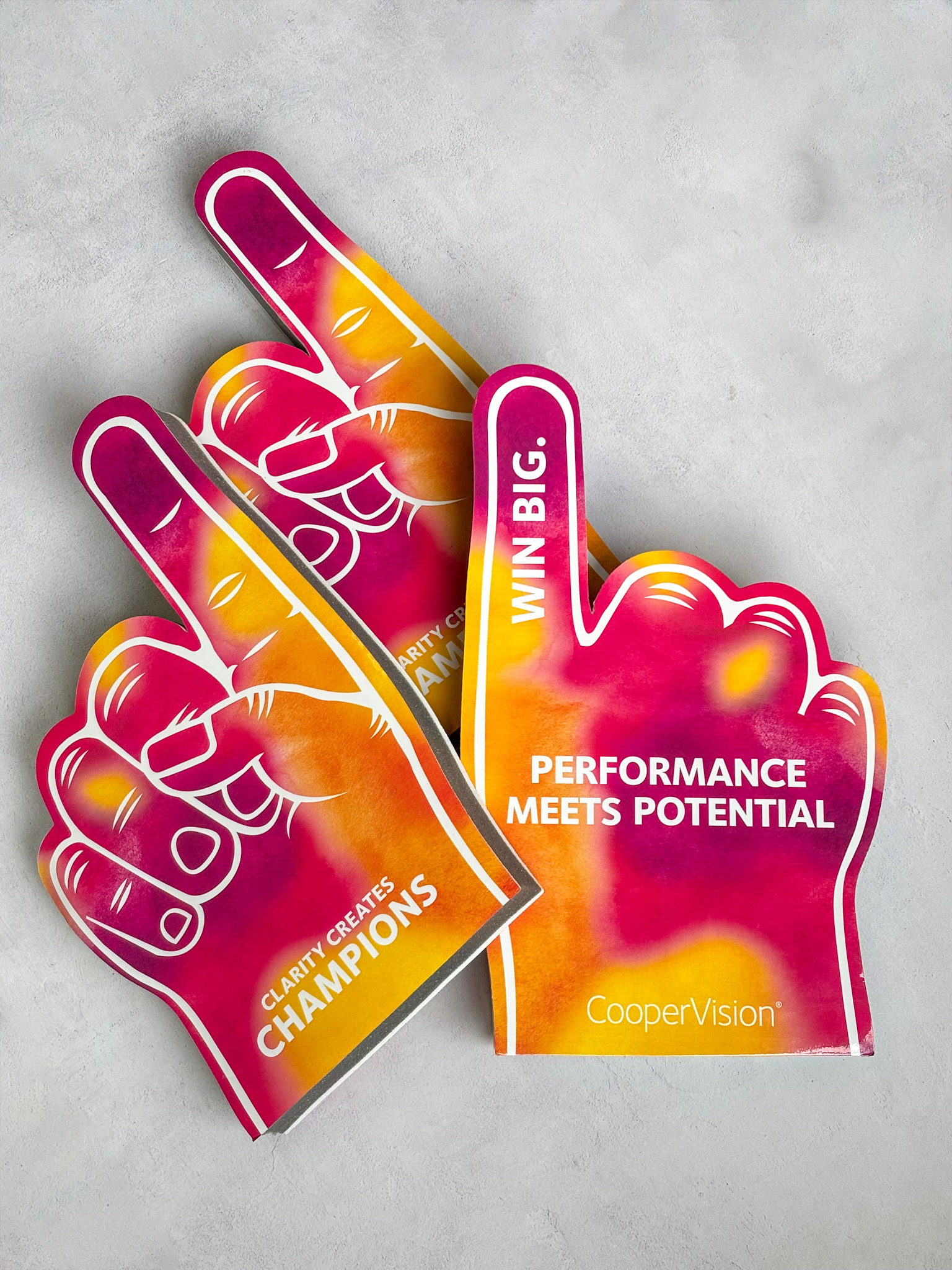 Performance Meets Potential img 6077